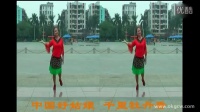 卢姨最新广场舞  中国好姑娘 附背面慢动作教学