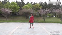 枣强新河国际广场舞 健身舞 梦里青草香 含教学与背面
