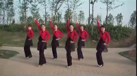 《蓝色的蒙古高原》广场舞蹈视频大全初学者