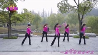 紫紫雨广场舞 锦上南京（附背面演示）