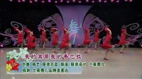 杨艺全民广场舞 春英《我的高原我的香巴拉》
