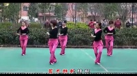 故乡恋  广场舞蹈视频大全
