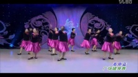 【美女】华语群星-高原蓝 (96步 广场健身舞)