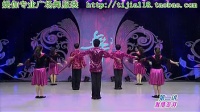媞伽广场舞服装 杨艺精品广场舞教学视频与欣赏08红旗飘飘