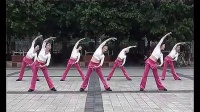 周思萍广场舞系列 健身操2 标清