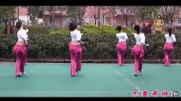 【时尚广场】周思萍广场舞-大家一起来（正反面）2