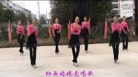纳西情歌-dance-五三广场舞
