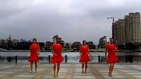 39南陵翠翠广场舞蹈队 九妹：正面、反面、分解