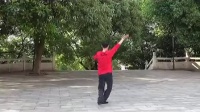 刘峰舞蹈 我从新疆来 反面