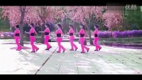 2014最新最流行最经典广场舞健身操视频教程最炫民族风动作分解