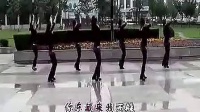 广场舞红山果背面及分解动作教学视频_标清