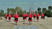 中国范-dance-刘春英广场舞_标清