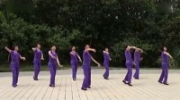 新套马杆 最新广场舞蹈视频大全
