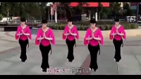 周思萍广场舞系列 康定情歌 摄像制作大人_标清 (16)