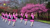 广场舞-粉红色的回忆_高清
