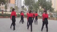 广场舞火火的姑娘  自由步20步 对跳与单跳 简单易学