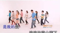 最炫民族风  广场舞下载 卡拉ok原版高清 mv伴奏制作-视频后期字幕添加