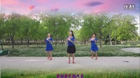 2014最新广场舞大全视频轻纱曼舞广场舞《青春飞舞》