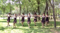 庆阳 快乐舞之梦舞蹈队 表演的广场舞：印度风情7人
