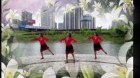 柳州彩虹健身队（姊妹花）广场舞 野百合也有春天 编舞：応子