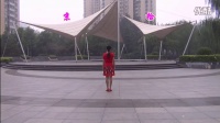 沅陵紫玫瑰广场舞欢乐的海洋（含背面）由紫玫瑰2队演示