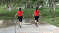 孔雀公园广场舞跳到北京《背面》