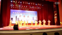 河东凤敏广场舞《第七届艺术节》开幕式演出