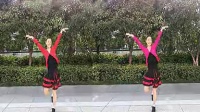蝴蝶泉边(含分解）－杭州西湖文化广场舞（清晰） 00_00_00-00_04