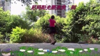 重庆——彩云广场舞《跑马山情思》编舞：凤凰六哥