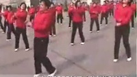 二十八步滦南金辉广场集体舞