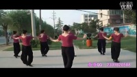 踏浪广场舞分解动作 广场舞蹈视频大全_高清