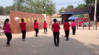 三鸭枫叶舞蹈队《白眼狼》广场舞表演