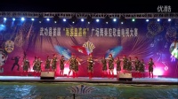 武功县首届广场舞电视大赛之《红色娘子军》