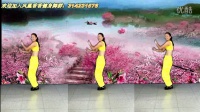 2014年凤凰香香（徐香）广场舞—护花使者（原创正反面）