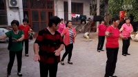 杨西——广场舞练习视频2