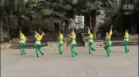 梦中的唐古拉－周思平广场舞全部