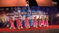 泰州华侨城纯水岸杯第一届泳装广场舞比赛(九）