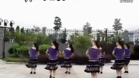 紫蝶踏歌广场舞幸福山歌_标清