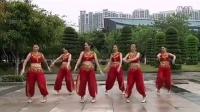 新东方广场舞印巴舞印度舞背面分解·flv