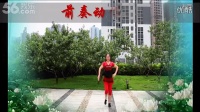 （107）红乔开心广场舞《摇一摇》附重庆叶子分解和背面演示