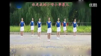 原版小苹果广场舞教学视频分解动作_标清