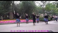 2013年吉美广场舞 - 快四步舞曲 -动感小子  广场舞_标清