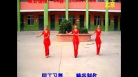 峡谷视频广场舞《跳到北京》
