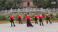 动动广场舞 健身舞 印尼撒拉拉 广场舞视频_标清_0