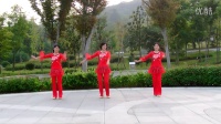 安徽滁州  南湖123广场舞  梦中的雪莲花 