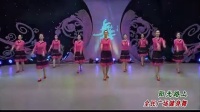 2014最新易学杨艺赵雅芝广场舞《阳光路上》