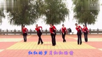 2014最新广场舞教学视频 山里红背面演示
