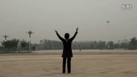 临汾静茹广场舞原创舞蹈《亲吻西藏》（背面）