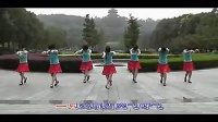 2013广场舞歌在飞 动动广场舞 广场舞蹈视频大全 广场舞教学_标清