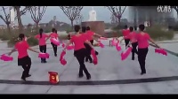 2014最新广场舞蹈视频大全 广场舞开门红_标清